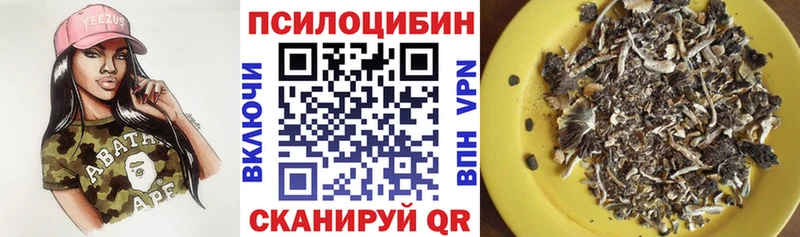 Купить где  Бикин  Галлюциногенные грибы прущие грибы 